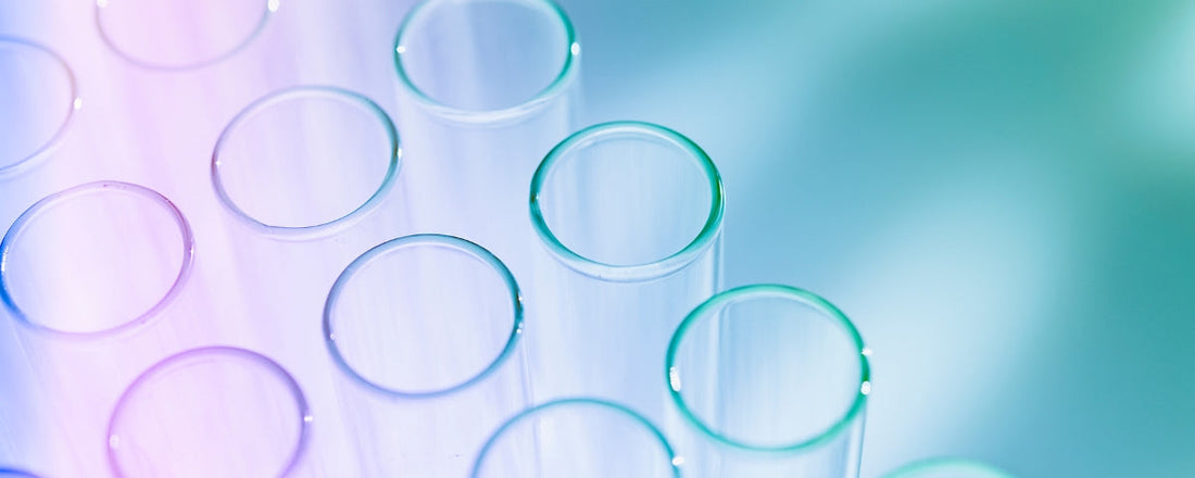 Rides du Lion : Décodez Leur Message Émotionnel et Effacez-les Naturellement