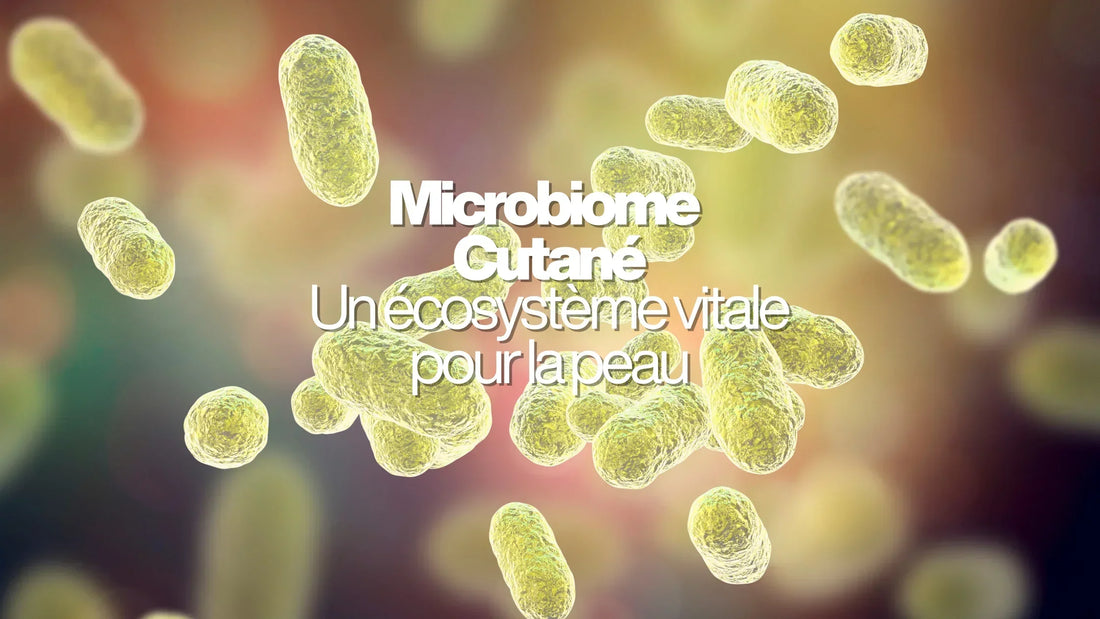Le microbiome cutané : un écosystème vital pour la peau