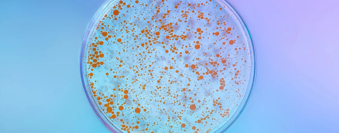 Comment améliorer l’hydratation de sa peau après 30 ans ?