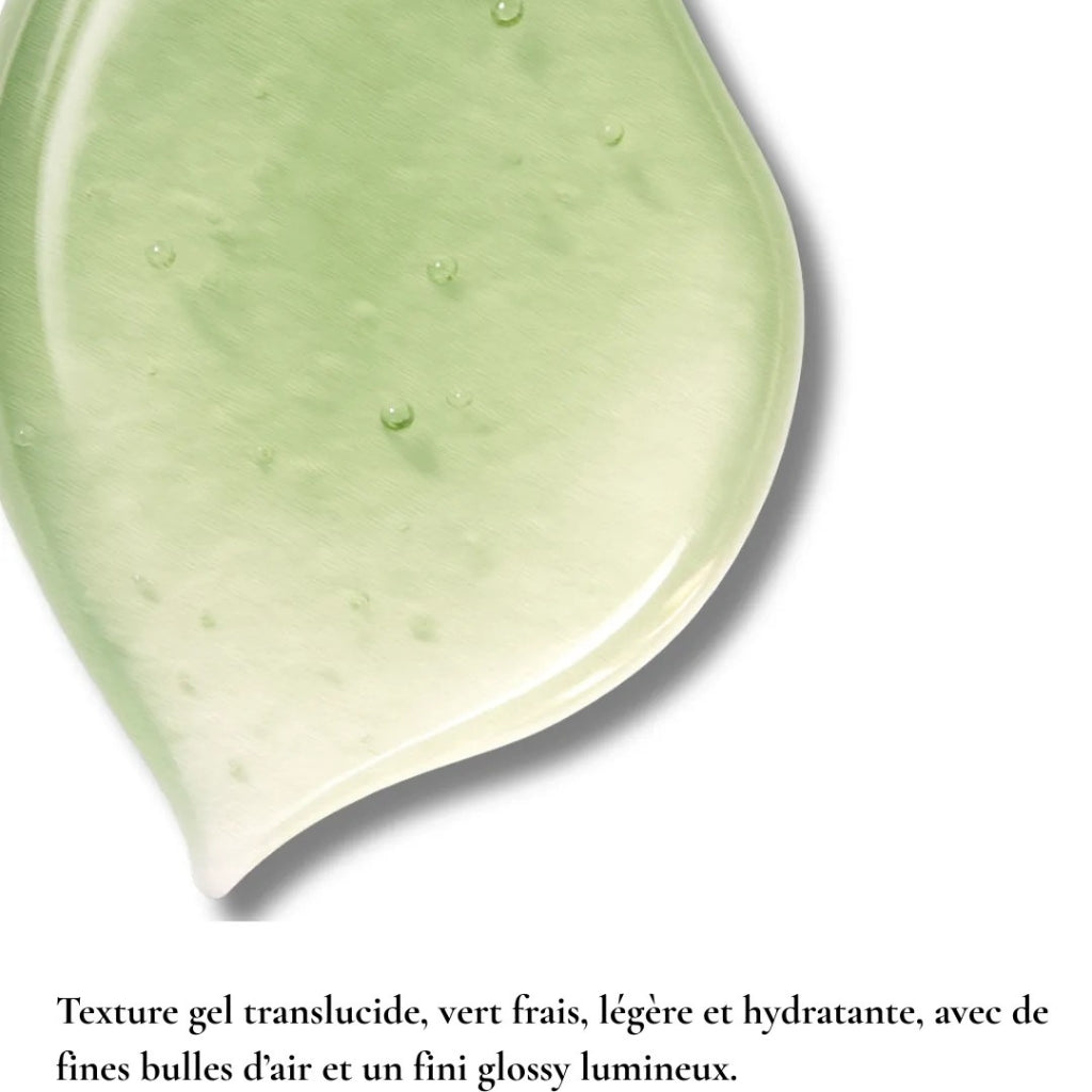 Hydra Mat Botanique⎪Gel Hydratant Non Gras Bio - 50ml